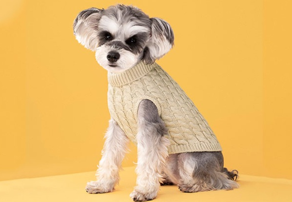 Dog's Candy Colour Sweater - Available in Seven Colours & Five Sizes