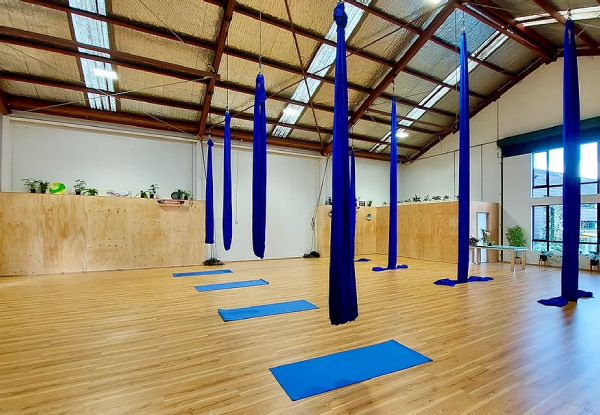 One Hour Aerial Yoga Class - Options for up to Three Classes