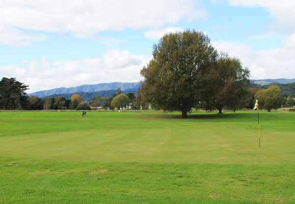 $6.50 for a Nine-Hole Round of Golf - Buy up to Ten Vouchers (value up to $12.50)