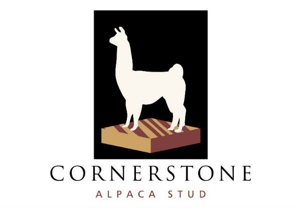 Alpaca Feeding incl. General Admission at Cornerstone Alpaca Stud & 5% Discount on Food & Drinks at Cornerstone Kitchen