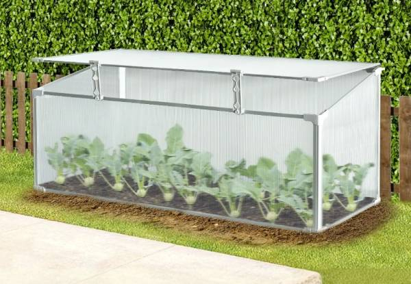 Mini Aluminium Frame Greenhouse with Roof Vent - Available in Two Sizes