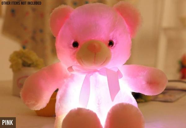 LED Teddy Bear - Two Sizes & Four Colours Available