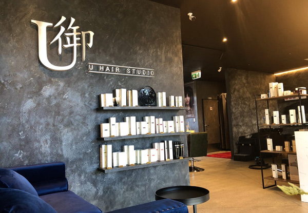Premium Hair Care Package incl. Shampoo, Hair Treatment, Head Massage, Style Cut & Blow Wave - Options to incl. Half-Head of Foils or Full-Head of Foils