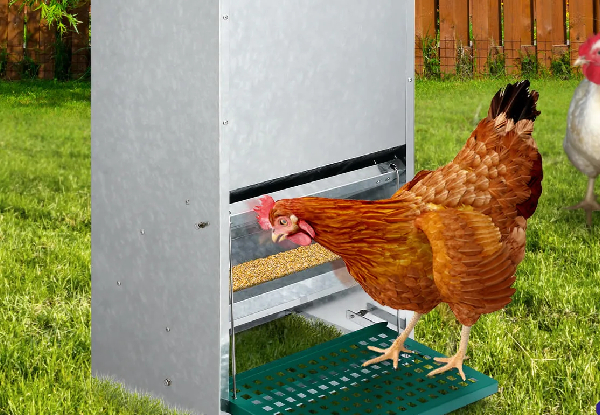 Petscene Automatic Galvanised Steel Chicken Feeder - Two Sizes Available