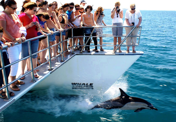 Auckland Whale & Dolphin Safari Adult Ticket 
- Option for Child Ticket Available