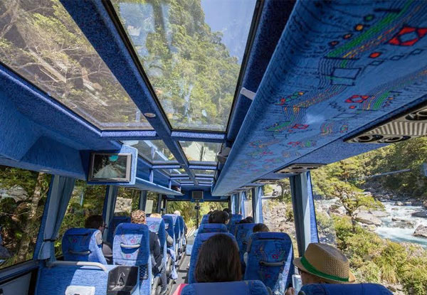 90-Minute Milford Cruise - Options for Additional Coach & Cruises Leaving from Both Queenstown & Te Anau