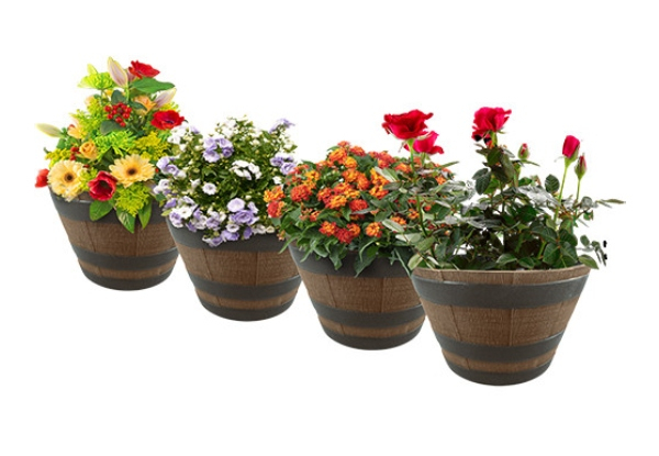 Four-Pack of Decorative Whiskey Barrel Planters