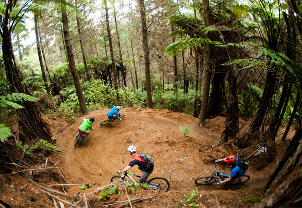 Per Person Exhilarating Seven-Day North Island Mountain Bike Tour incl. Guides, Transport, Excursions (Jet Boat/Cultural Exp), Breakfasts & More - options for Shared or Private Accommodation