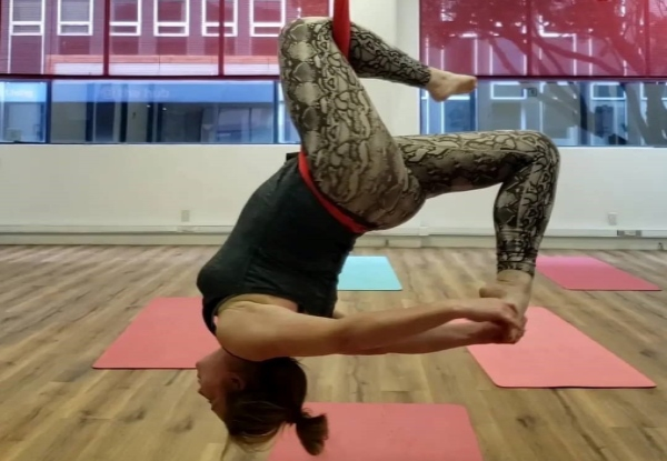 Five Sessions of Flight or Floor Yoga - Option for 10 Sessions Available