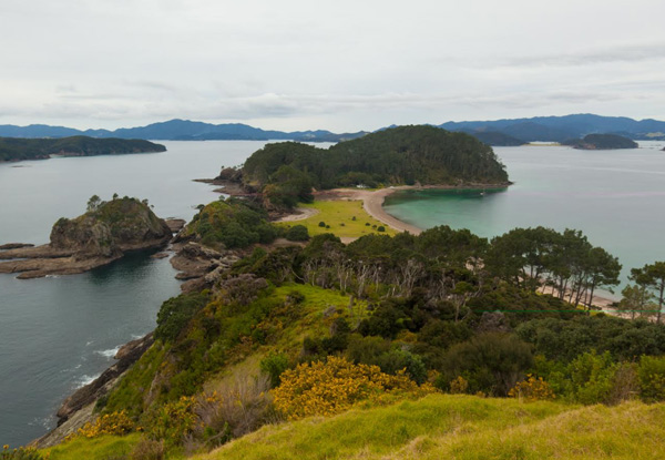 Per-Person Twin-Share Six-Day Learn to Sail & Sail Yourself Live Aboard Holiday for Two People in the Bay of Islands incl. Instructor - Options for a D20 or N25 Yacht