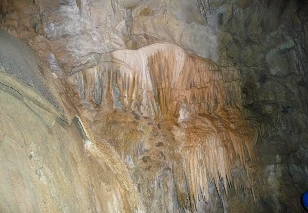 Family Guided Tour of Ngarua Caves featuring Skeletal Remains of Extinct Moa