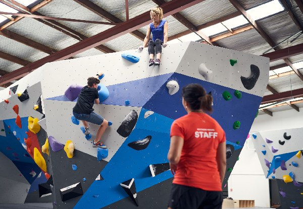 All Day Pass to Indoor Rock Climbing for Adult/Student - Option for Youth Pass