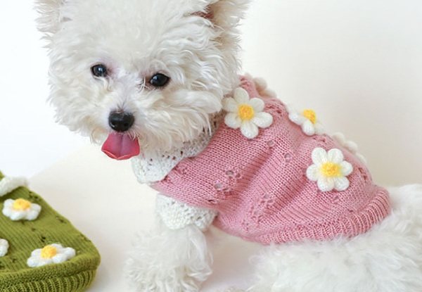 Dog's Winter Coat Sweater Hoodie - Available in Two Colours & Five Sizes