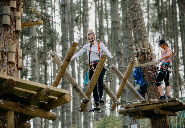 One Adult or Child Admission to Adrenalin Forest Park Porirua, Wellington - Valid Thursday to Sunday