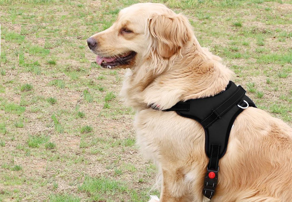 Adjustable Safety Dog Harness Vest with Handle - Three Sizes Available