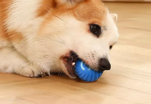 Pet Automatic Rolling Ball Toy - Two Colours Available