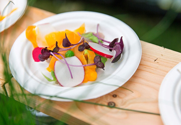 $29 for One Entry to the South Island Wine & Food Festival 2016 - Saturday 3rd December incl. a Souvenir Tasting Glass, Three Wine Tasting Tickets, & Access to All Features & Entertainment (value up to $48.50)