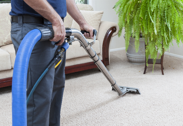 Home Carpet Cleaning Service incl. Bedrooms, Lounge & Hallway – Options for up to Four Bedrooms