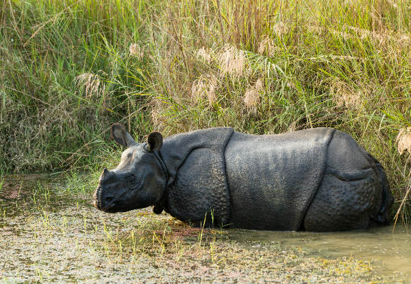 11-Day Classic Nepal Tour for Two People incl. Accommodation, Private Transfers, Some Meals & Entrance Fees