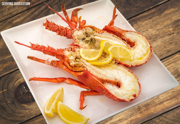 Cooked Fresh Whole Crayfish - Pick-Up Only from Auckland on 19th December 2020