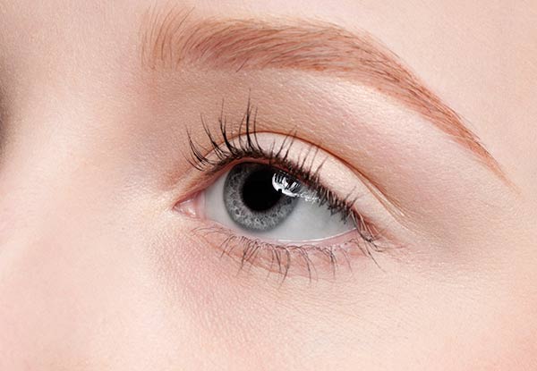 Eye Trio incl. an Eyelash Tint, Brow Tint & Definition