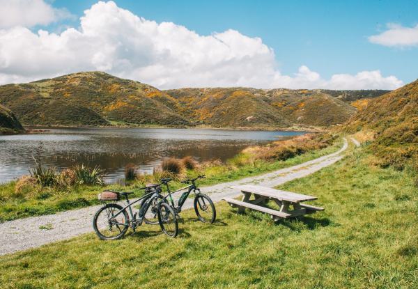 Four-Hour Mountain Bike Hire at Wildfinder Pencarrow