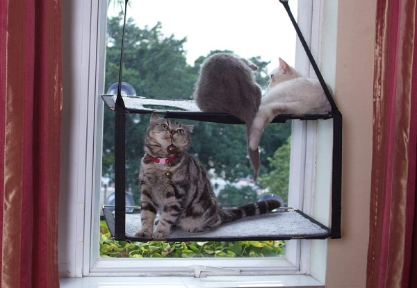 Suction Cup Cat Window Hammock - Option for Double Layer