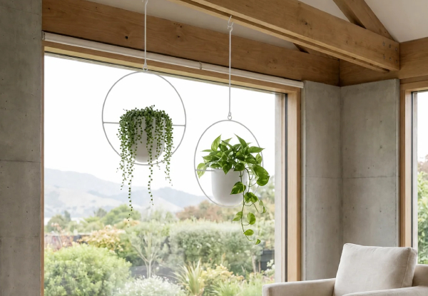 Two Minimalist Round Plant Hanger - Available in Three Colours