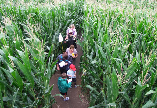 Family Pass Entry to The Amazing Maze 'n Maize, Auckland - 2019 'Shipwrecked' Theme (Booking & Service Fees Apply)