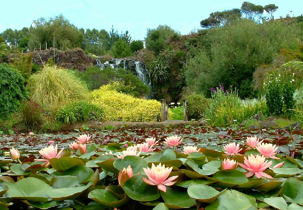 Water Garden Entry for One Adult & One Child incl. 35% off Your Total Food Spend - 45-Minutes South of Auckland - Options for up to Two Adults & Two Children Available