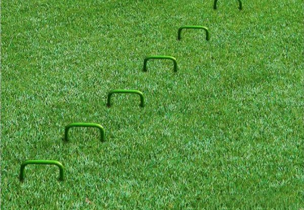 50-Pack Metal U-Shape 3mm Thick Artificial Grass Pin Stakes