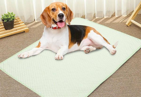 Pet Cooling Mat - Available in Three Colours &  Five Sizes