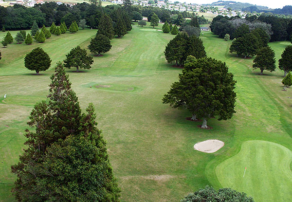 One Round of Golf for One Person - Option for Two People incl. Golf Cart Hire
