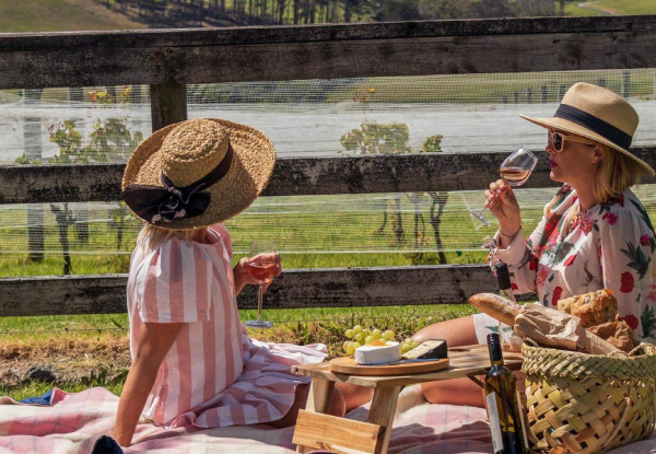 Summer Mystery Picnic Scavenger Hunt Experience for One in Matakana incl. Gourmet Local Artisan Picnic to Share, Local Matakana Roasters Coffee on Arrival, Daily Organic Botanical Soda & Curated Activities - Option for Two People or Family