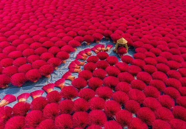 Per Person, Twin Share, 16-Day Vietnam Panorama Tour - Explore Hanoi, Halong Bay, Hue, Hoi An & Ho Chi Minh City with Flights, Cruise, Train Journey, Accommodation, Meals & More