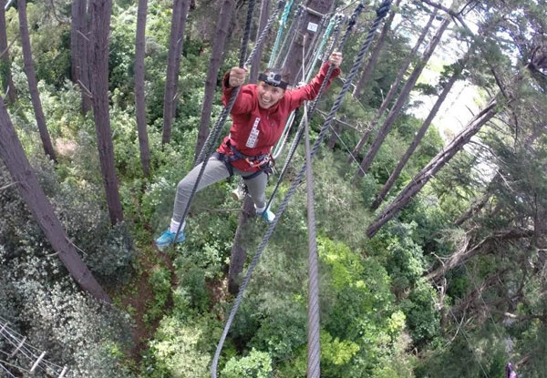 One Adult or Child Admission to Adrenalin Forest Park - Option for Wellington, Christchurch & Bay of Plenty Location