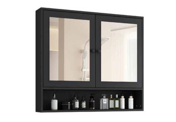 Bathroom Mirror Cabinet with Two Doors