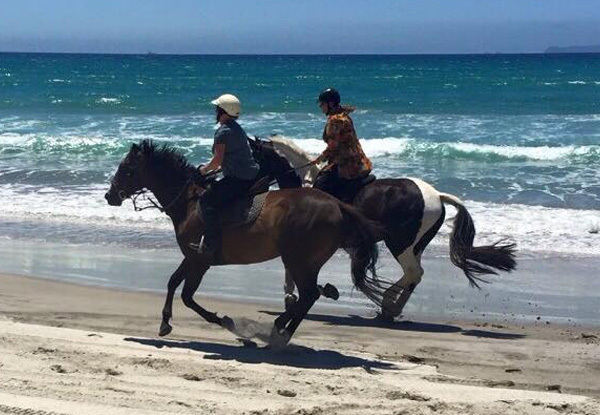 One-Hour Beach Horse Trek for One Adult  - Options Available for a Child, Two People & Two-Hour Intermediate Trek