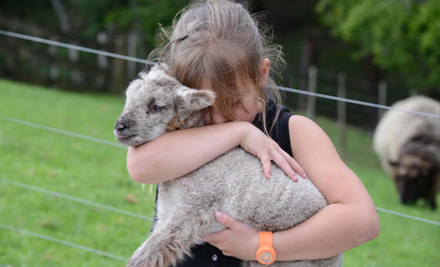 $10 for One Adult Farm Admission & a Hot Drink OR $20 for Two Adults & Two Hot Drinks - Both Options incl. a Bag of Feed Per Person & Unlimited Activities