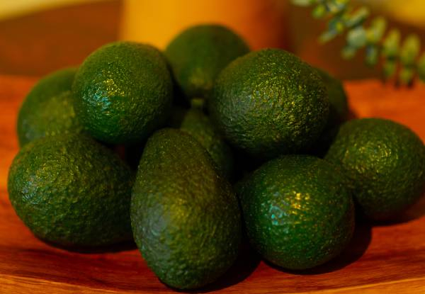 Box of 12 x Medium/Large Sized Avocados - Option for 20 Medium/Large or Seconds/Small Avocados