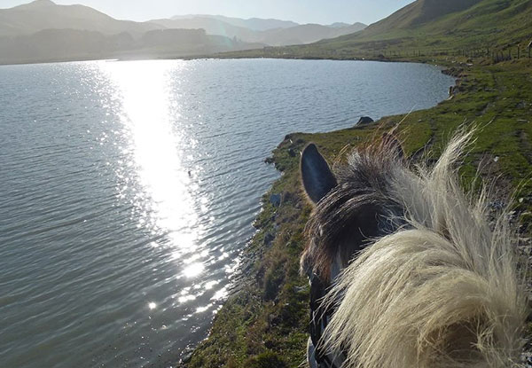 $60 for a Two-Hour Horse Ride – Options for up to Six People (value up to $570)