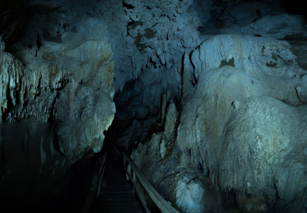 Adult Pass for Kawiti Family Glowworm Caves - Options for Two Adult Passes or a Family Pass