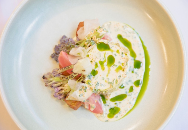 Gourmet Dining at Bracu Restaurant - Options for up to Twelve People - Valid for Lunch or Dinner