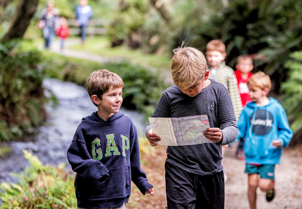 Adult Entry to The Buried Village incl. Award-Winning Museum, Archaeological Sites & Te Wairoa Waterfall - Options for Teens & Family Entry