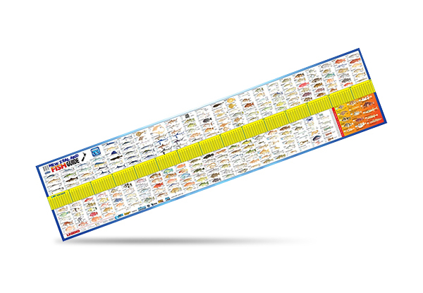 Two-Pack of New Zealand Fish ID Maxi Rulers - Option for Four-Pack