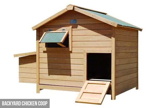 Backyard Chicken Coop