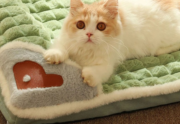 Removable & Washable Non-Slip Bottom Comfortable Pet Mattress - Four Sizes Available