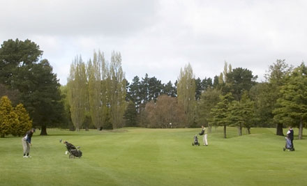 Waitikiri Golfing ProShop Gold Membership