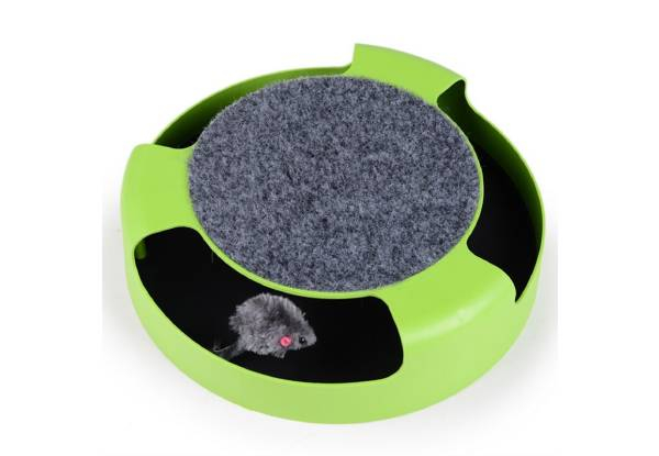 Catch-the-Mouse Cat Toy