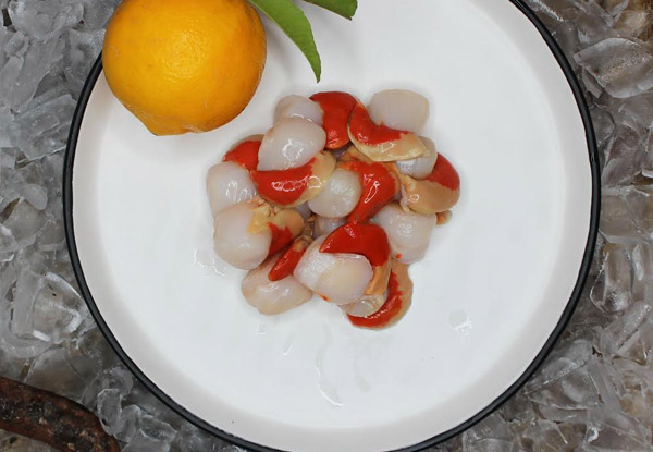 200gm of Fresh Scallops - Options for up to 1kg - North Island Delivery